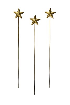 Boncoeurs Bouquet Triple Star